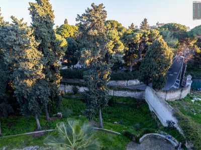 ...ammiriamo l�ampio giardino con le rigogliose fronde degli alti alberi che, da oltre un secolo, circondano questa raffinata dimora barese 